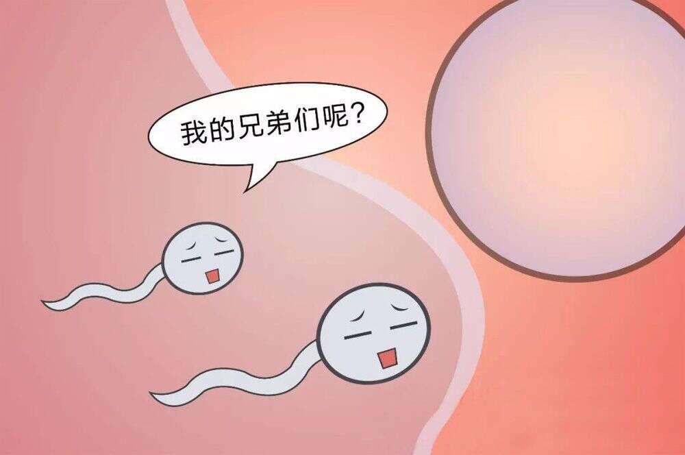 少精