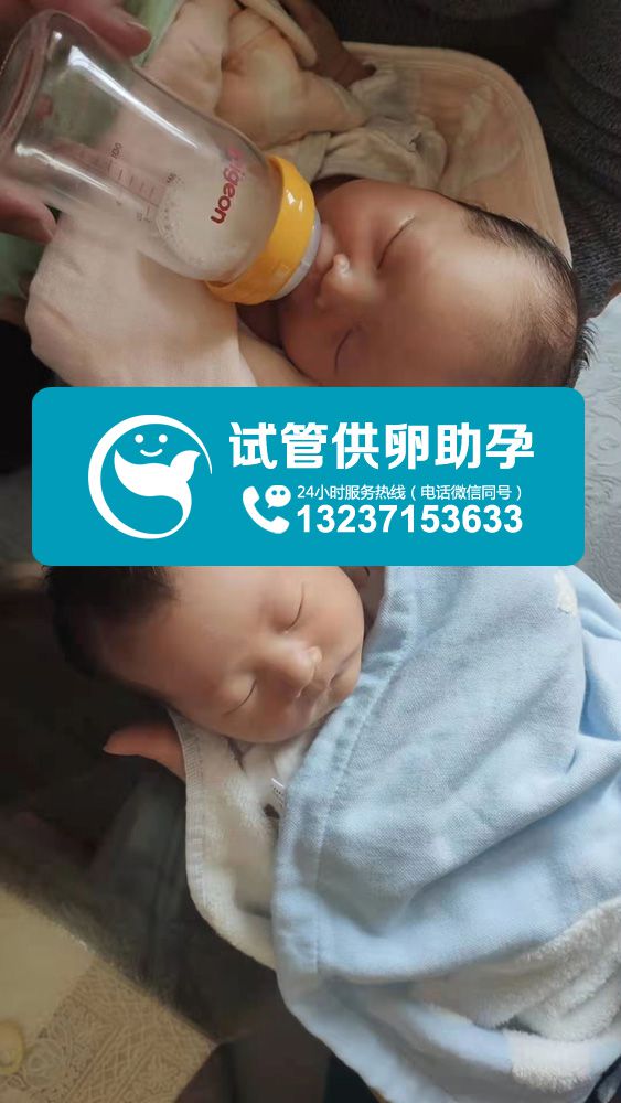 祝贺陈氏夫妇生了一对成功的龙凤胎！真是个喜事