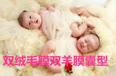 双绒毛膜双羊膜囊型