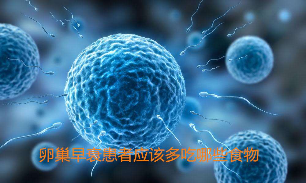 卵巢早衰患者应该多吃哪些食物